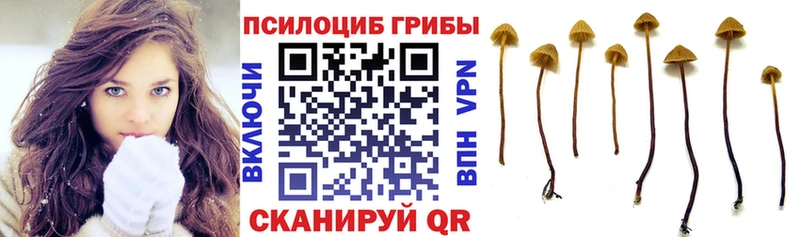 Галлюциногенные грибы GOLDEN TEACHER  Теберда 