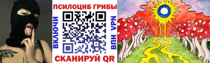 Галлюциногенные грибы Psilocybe Теберда